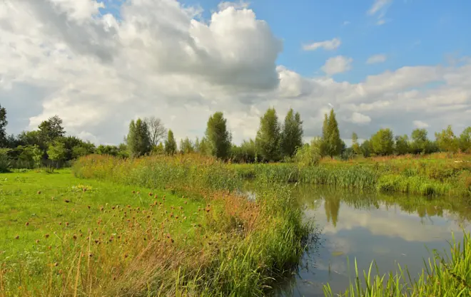 Wolken en opklaringen. We zien dat beeld de komende dagen vaak - Cynthia van Leusden
