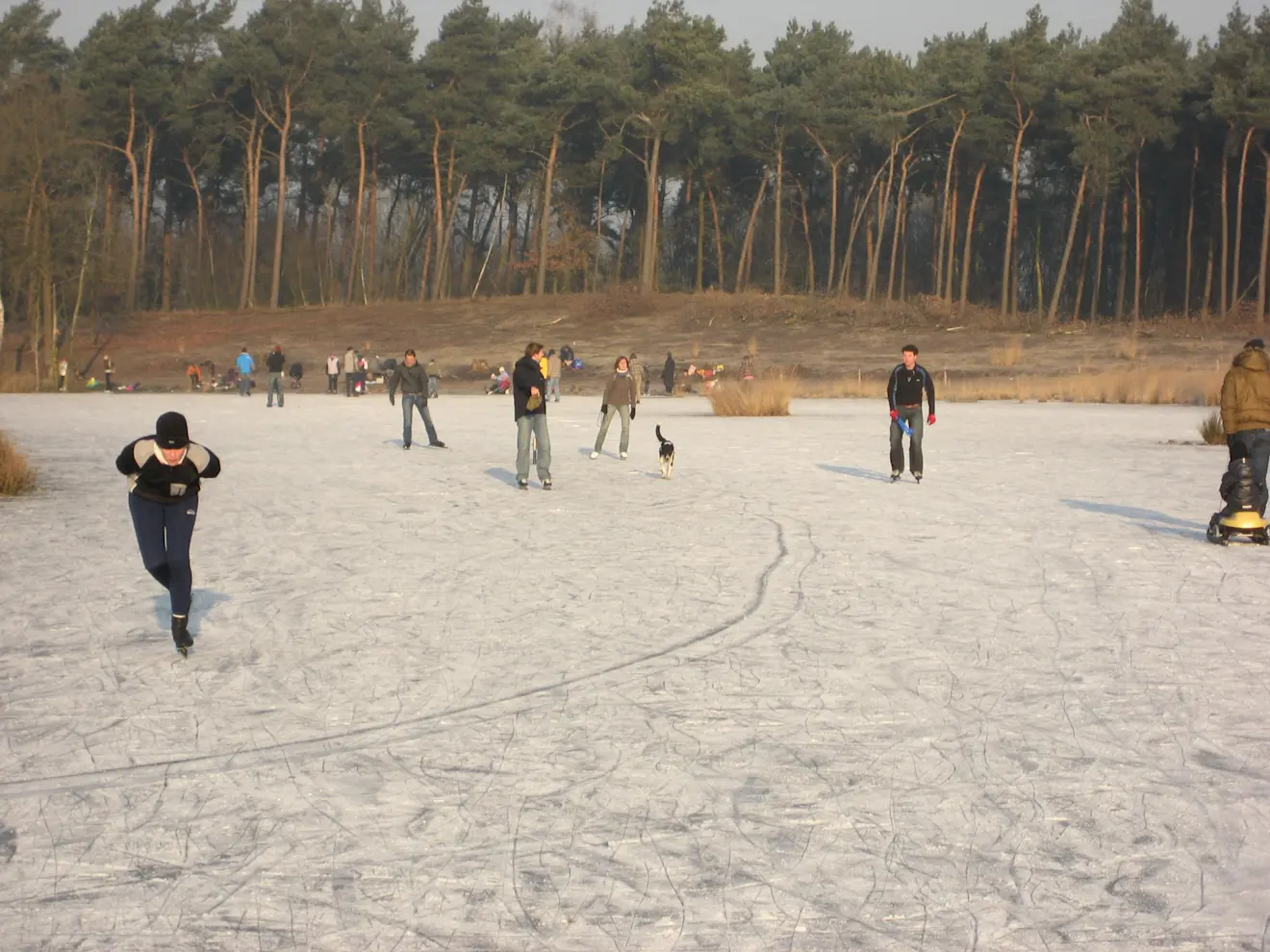 Schaatsen op de Hatertse vennen in december 2008 - Grieta Spannenburg