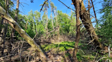 De schade in de natuur van de tornado van toen is nog altijd zichtbaar. Foto: Reinout van den Born.