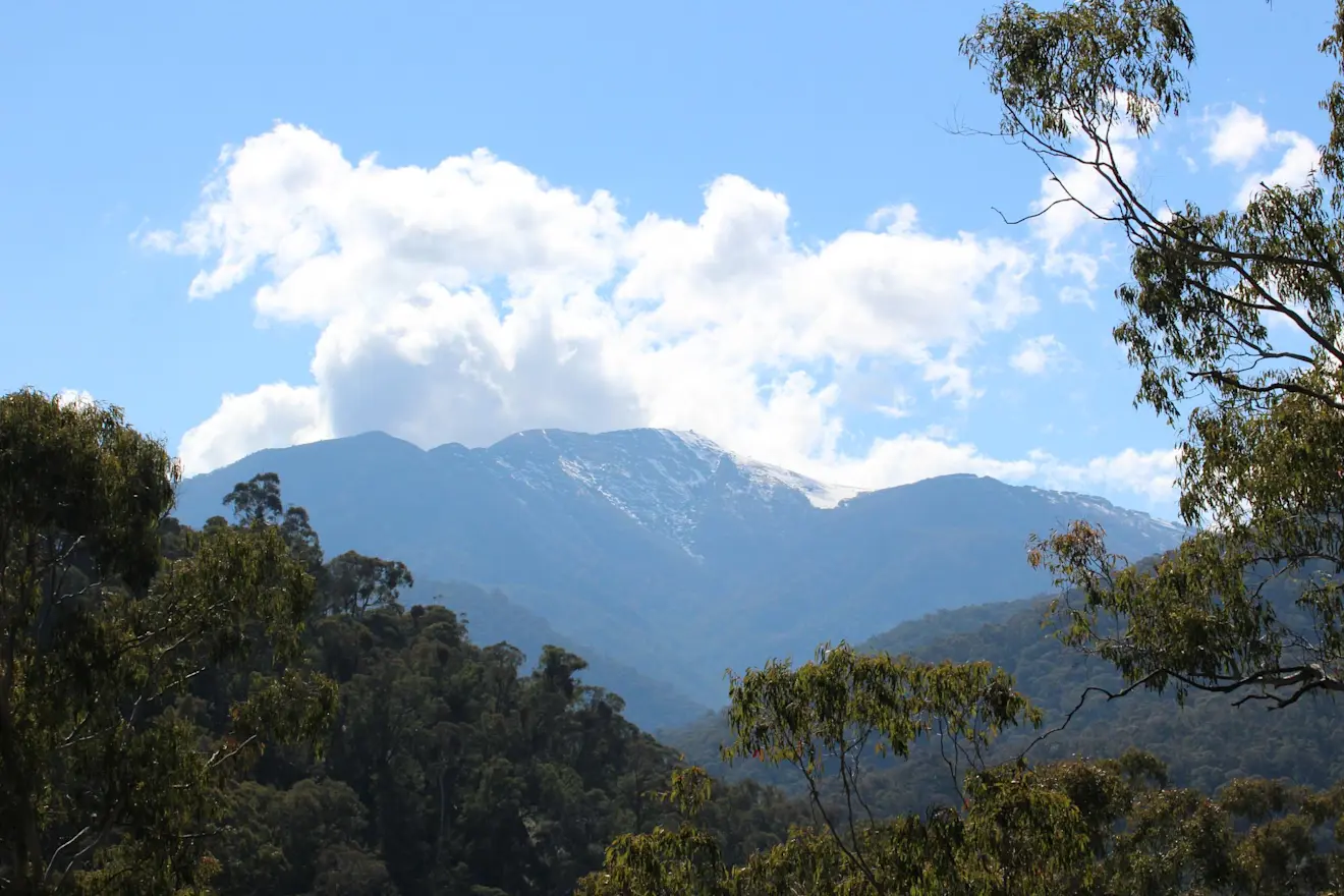 Op Mount Buller werden een paar sneeuwvlokken waargenomen - Wikipedia