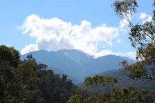 Op Mount Buller werden een paar sneeuwvlokken waargenomen - Wikipedia