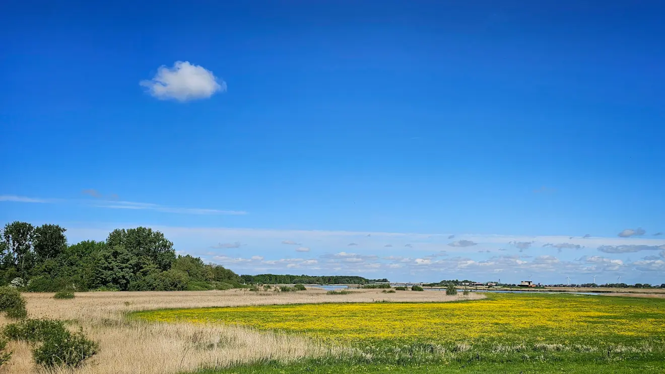 Het Reevediep in Dronten - Jannine Sanders - Kroeze