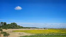 Het Reevediep in Dronten - Jannine Sanders - Kroeze
