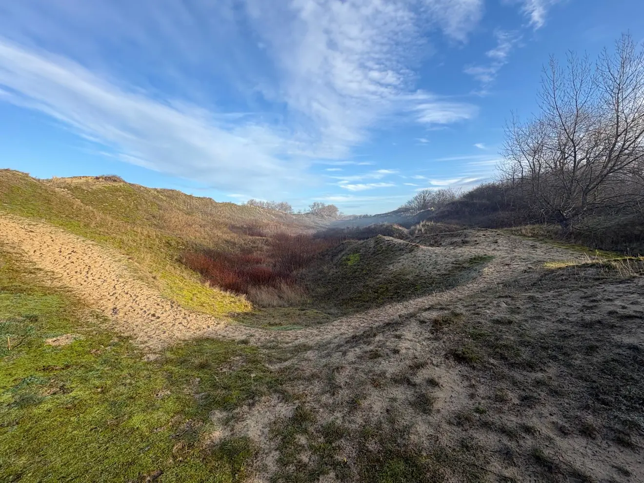Nog meer optrekkende mist in de Papegaaiduinen - Pieter Bliek