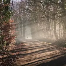 Nog even is de lange termijn in nevelen gehuld, maar ziet er wel spectaculair uit - Tonny Morsink