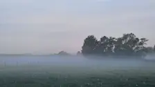 Ochtendmist - Nely van Frankenhuyzen.