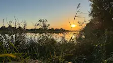 De zon gaat onder boven natuurgebied Hellegatsplaten - Sonja Hagens-Visser
