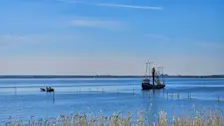 Het Wolderwijd bij Zeewolde - Jannine Sanders - Kroeze