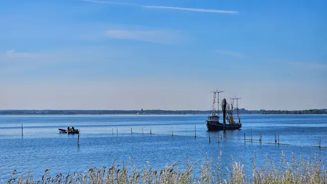 Het Wolderwijd bij Zeewolde - Jannine Sanders - Kroeze