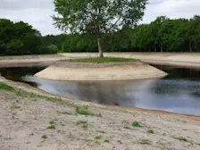 De gevolgen van droogte - Chris Meewis
