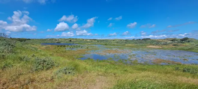 Water in de duinen bij Katwijk - Grieta Spannenburg