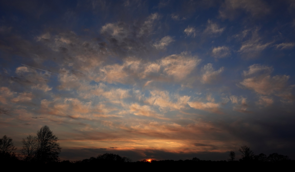 Plukjes cirrus, hoog in de lucht - Tonny Morsink