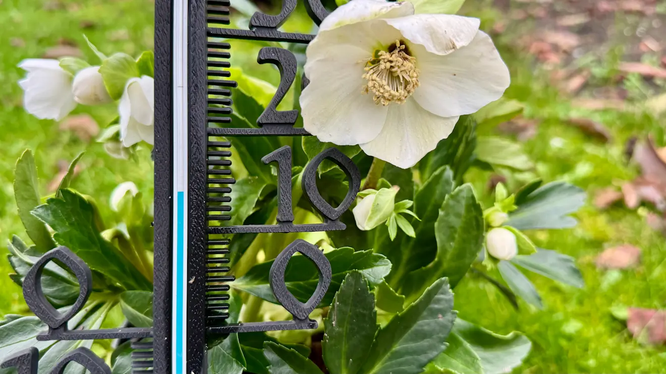 Het blijft maar zacht - Jolanda Bakker