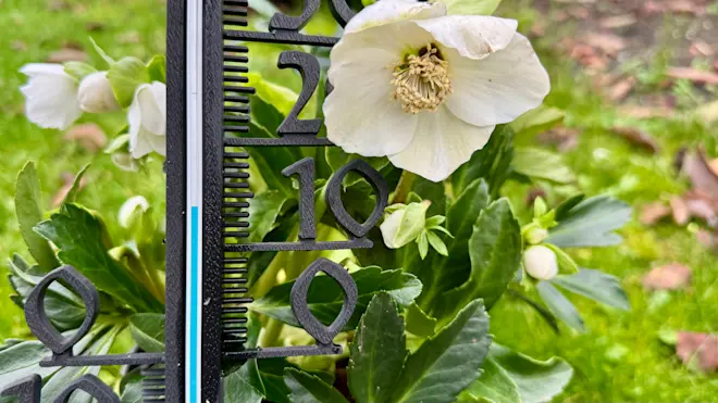 Het blijft maar zacht - Jolanda Bakker