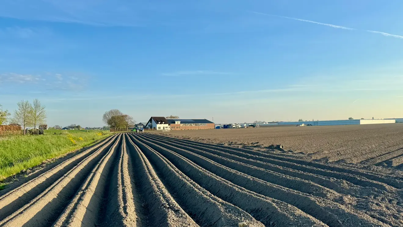 Dit droge perceel kan wel wat regenwater gebruiken - Jolanda Bakker
