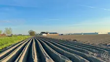 Dit droge perceel kan wel wat regenwater gebruiken - Jolanda Bakker