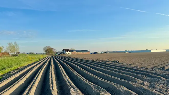 Dit droge perceel kan wel wat regenwater gebruiken - Jolanda Bakker