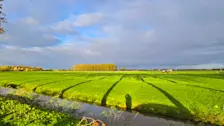 Een voor de herfst karakteristieke periode met zuidelijke winden lijkt vanaf halverwege volgende week te beginnen. Het kan dan ook even behoorlijk warm worden - Nely van Frankenhuyzen