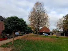 Herfstbeelden uit Beusichem - Huibert Boon