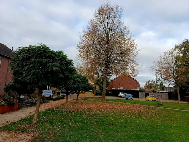Herfstbeelden uit Beusichem - Huibert Boon