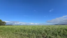 In het noordoosten van Groningen was het, terwijl het op andere plaatsen regende, gisteren lange tijd mooi weer. De komende dagen krijgen we dat op meer plaatsen - Jannes Wiersema