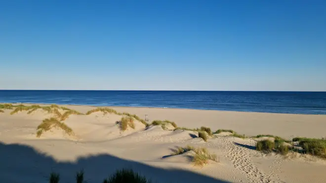 Het is op Texel ongelooflijk helder - Frans Alderse Baas