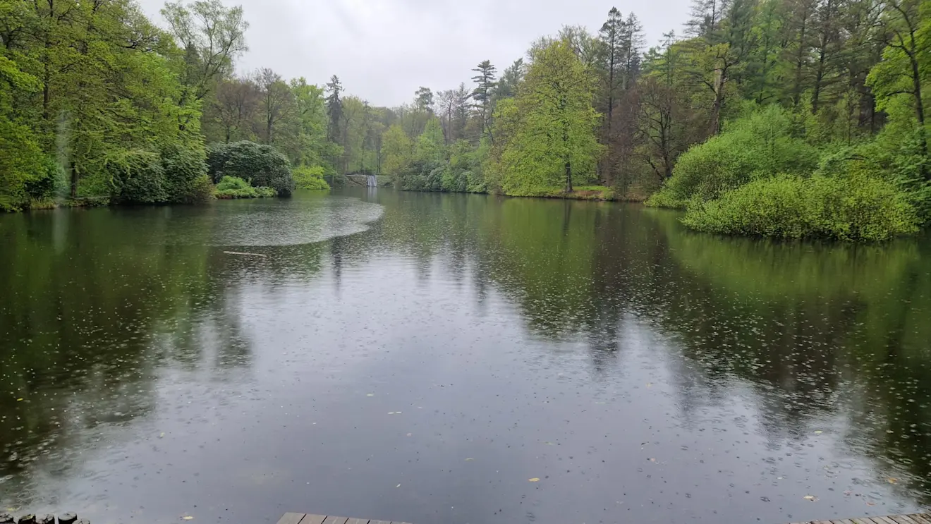 De vijver van de Beekhuizense beek met op de kop de waterval - Reinout van den Born
