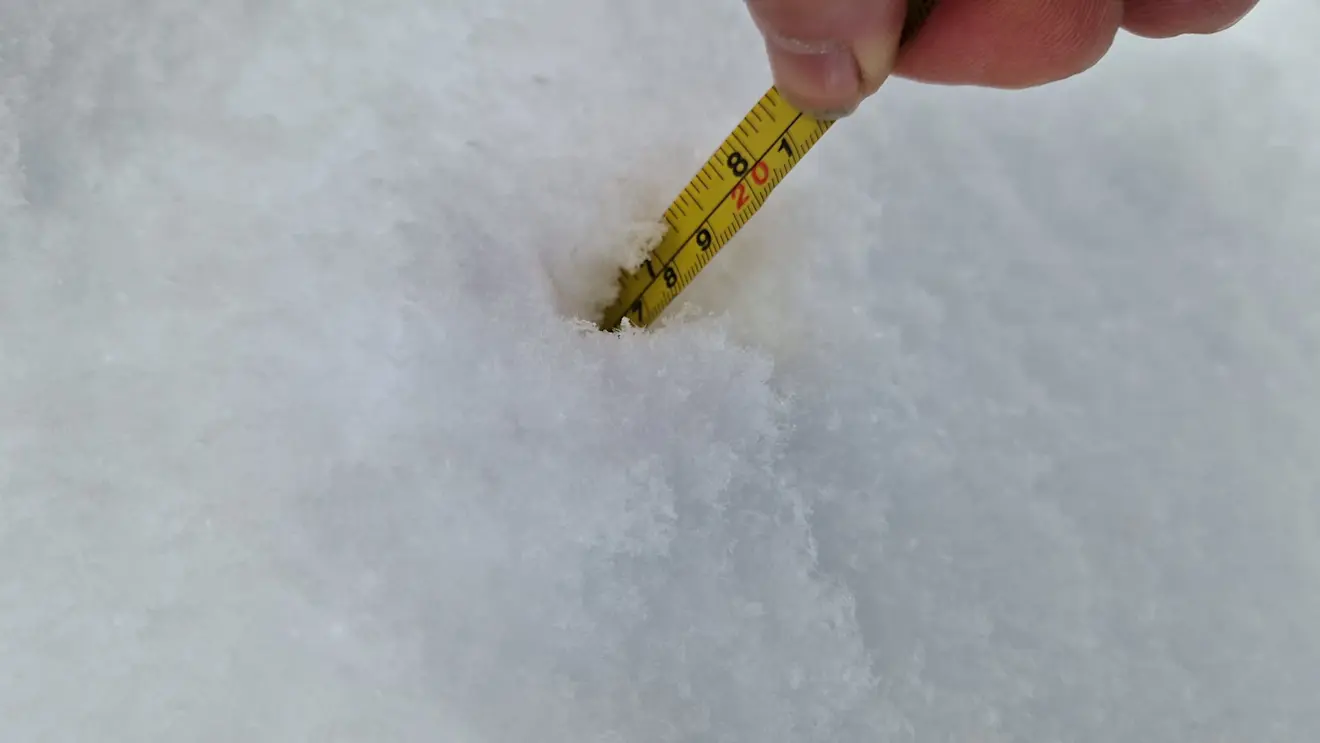 Hier ligt 17 centimeter - Reinout van den Born