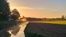 De dag begon vandaag nog koud met in de buurt van Beusichem slootmist - Nely van Frankenhuyzen