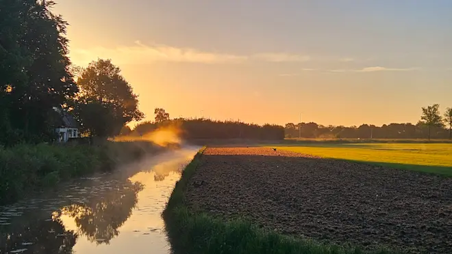 De dag begon vandaag nog koud met in de buurt van Beusichem slootmist - Nely van Frankenhuyzen