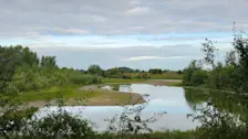 De droogte grijpt in Nederland steeds meer om zich heen - Nely van Frankenhuyzen