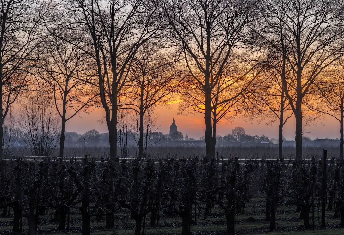 Ochtendgloren bij Asperen - John Oomen