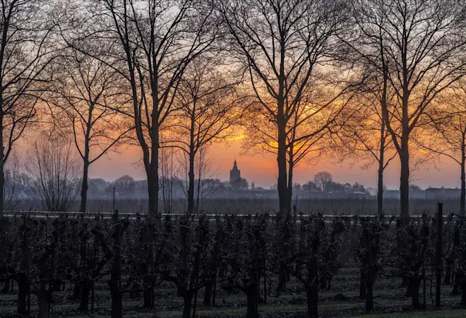 Ochtendgloren bij Asperen - John Oomen