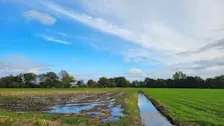 De regen  van de laatste dagen heeft het land weer nat gemaakt, zoals hier in de buurt van Doornspijk - Jannine Sanders