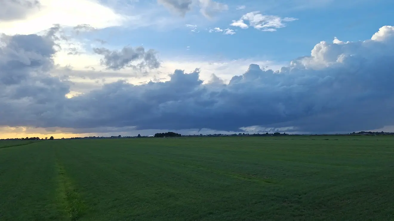 En wat verder uitgezoomd - Tjitske Wiebenga