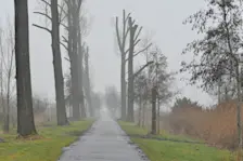 Op veel plaatsen wordt het vandaag weer groen - Cynthia van Leusden