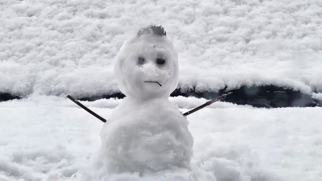 Een sneeuwpop die het ook niet weet - Nely van Frankenhuyzen