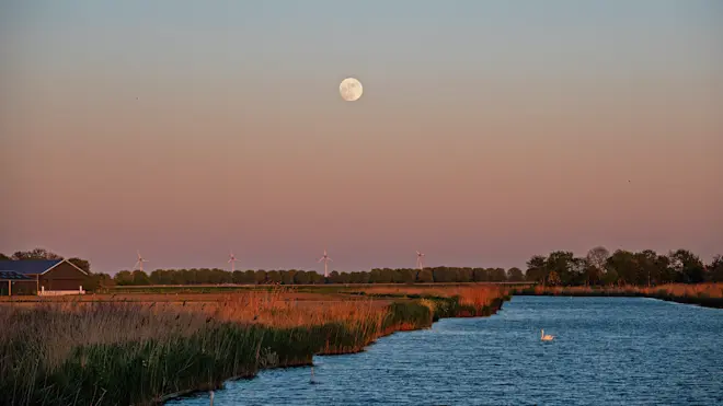 Een bijna volle maan net boven de aardschaduw, tijdens de ondergang van de zon - Simone Wiersma