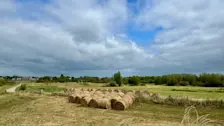 Vooral in het zuidwesten van het land is het neerslagtekort de laatste maanden sterk opgelopen - Jolanda Bakker