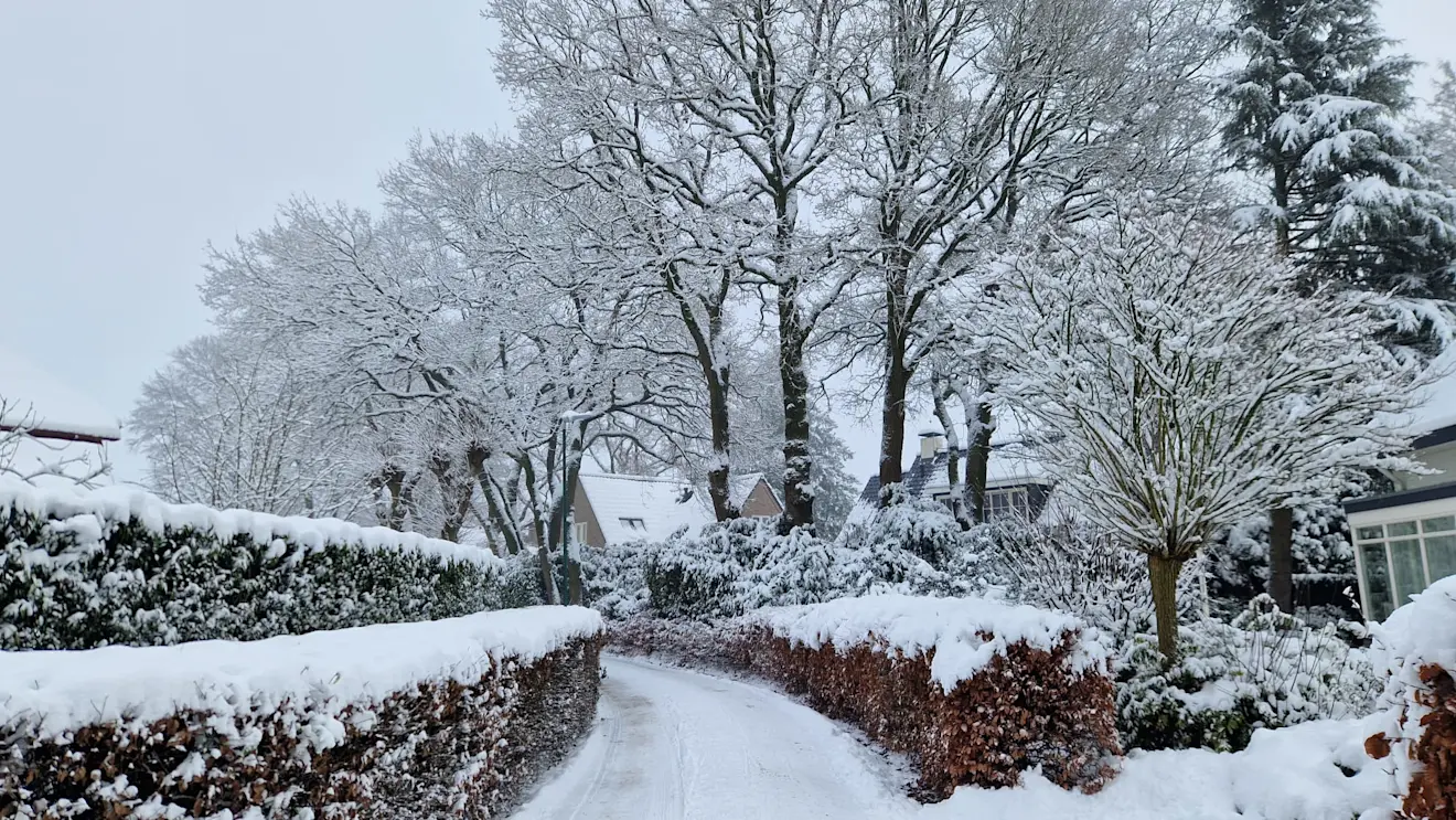 Garderen in de sneeuw - Reinout van den Born