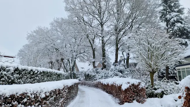 Garderen in de sneeuw - Reinout van den Born