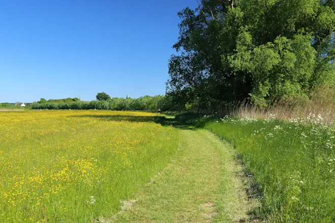 Een droge lente zoals die van dit jaar is geen garantie voor een topzomer daarna - Sjaak de Wit