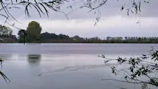 Herfst in Beusichem - Nely van Frankenhuyzen