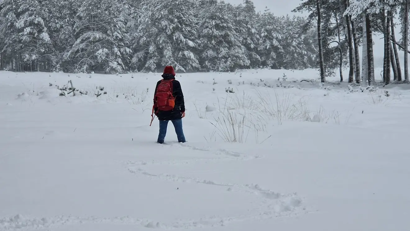 Bijna tot de knieën in de sneeuw - Reinout van den Born