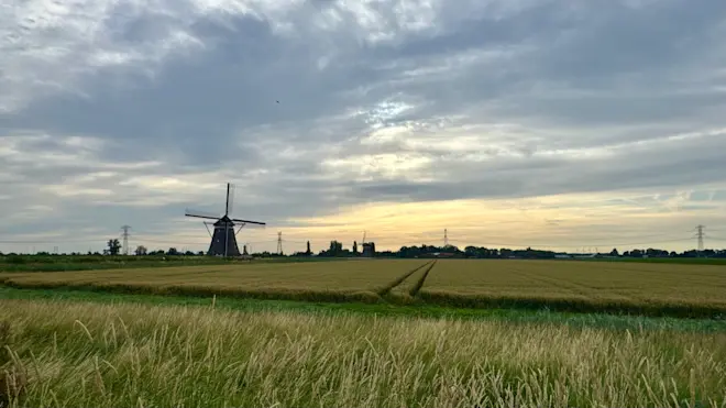 Vandaag trekt vrij veel bewolking door de lucht - Jolanda Bakker