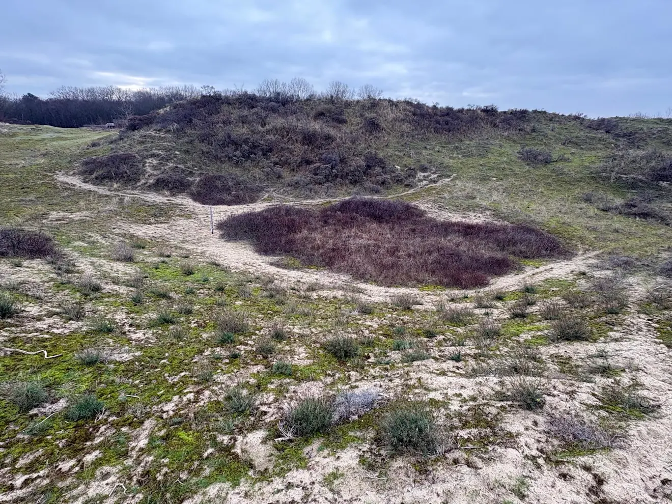 Nog een overzicht van Aquaduin 1 - Pieter Bliek