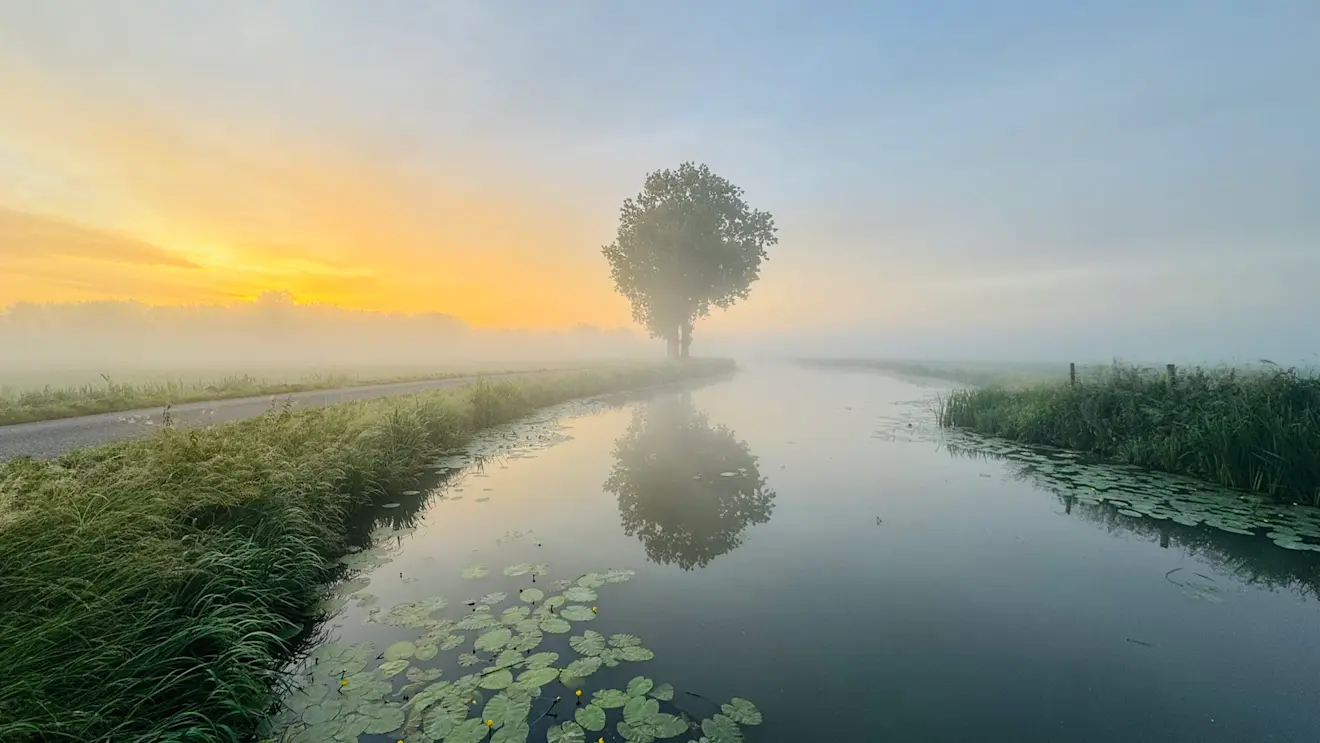 Bij het krieken van de dag was de lucht vanochtend vochtig - John Oomen
