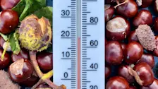 Het was gisteren een warme dag. Ook vandaag kan het lokaal 20 graden of nog iets warmer worden - Jolanda Bakker