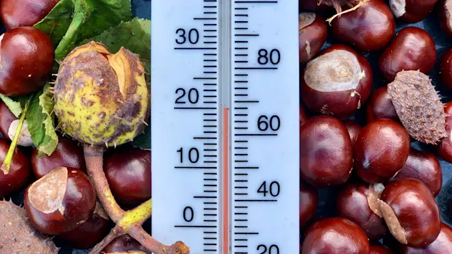 Het was gisteren een warme dag. Ook vandaag kan het lokaal 20 graden of nog iets warmer worden - Jolanda Bakker
