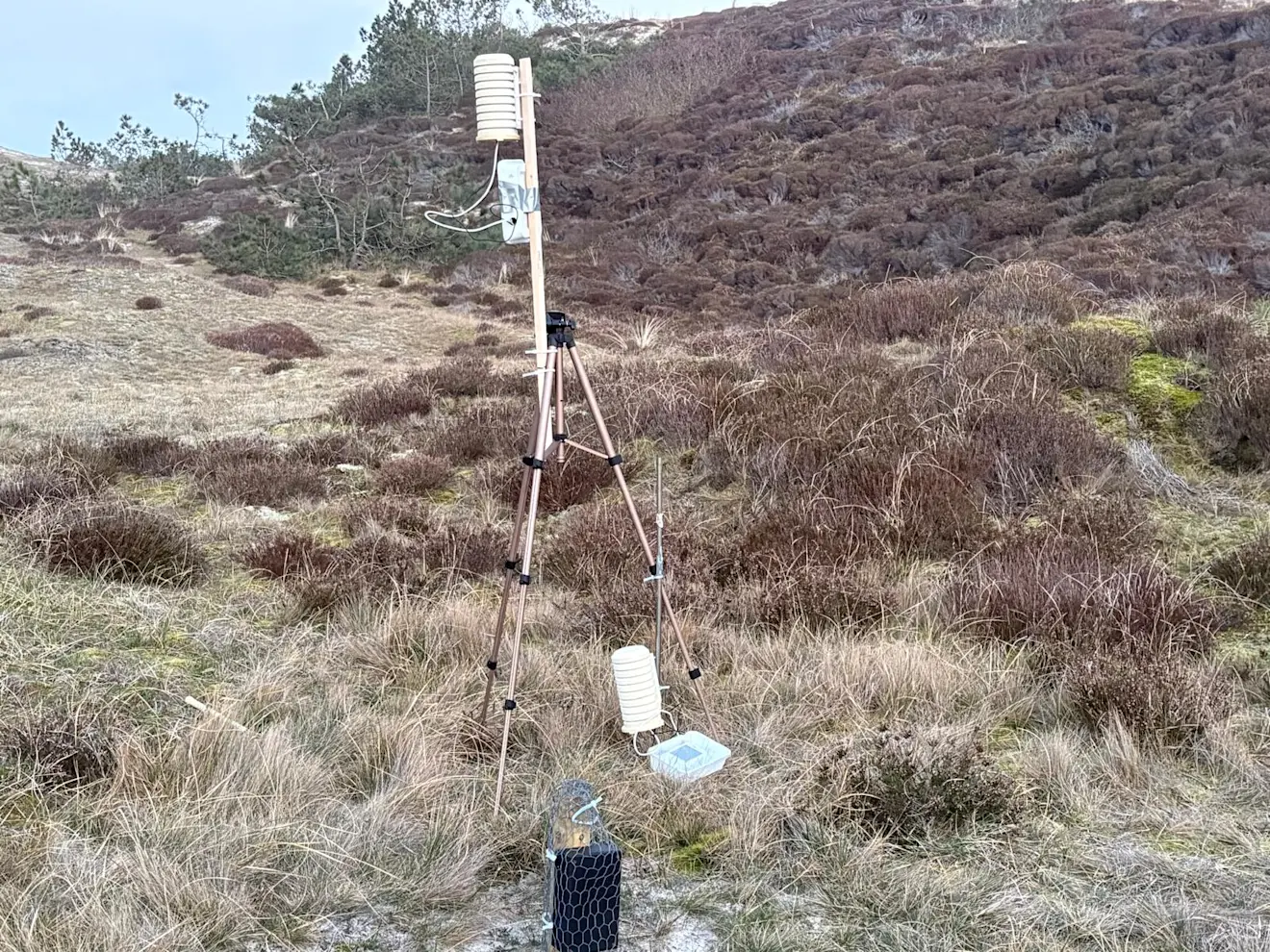 De opstelling waarmee temperaturen op verschillende hoogtes worden gemeten - Pieter Bliek